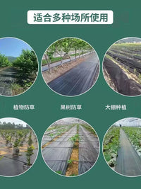 Weed Barrier Fabric for Gardens and Orchards, Heavy-Duty, UV-Resistant, Permeable Ground Cover