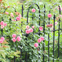 European Style Wrought Iron Garden Fence Panel for Climbing Plants, Yard Divider & Border