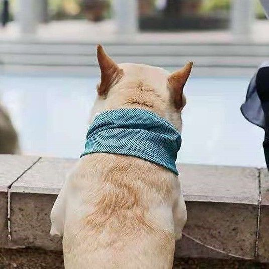 Pet Cooling Scarf for Dogs, Breathable Summer Ice Bandana for Heat Relief