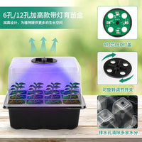 Seedling Starter Trays with Grow Lights and Transplanting Tools, 6/12-Cell Options