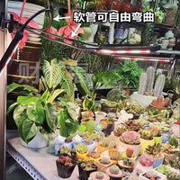 Full Spectrum LED Grow Light for Indoor Plants with Timer and Clip