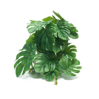 SuperRep Reptile Terrarium Artificial Plant Decor for Rainforest Tanks and Tortoise/Lizard/Gecko Habitats