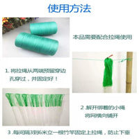 Plant Climbing Net for Yam, Beans, Cucumber, Bitter Gourd, Loofah, Passion Fruit - Garden Trellis Netting for Climbing Plants