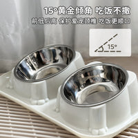 Double Stainless Steel Pet Bowl for Cats and Dogs, Non-Slip Tilted Food and Water Feeder