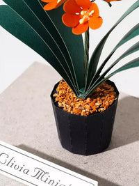 Jeancard 3D Laser-Cut Clivia Paper Model Kit