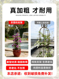Climbing Plant Trellis for Potted Plants, Metal Garden Support for Roses and Clematis