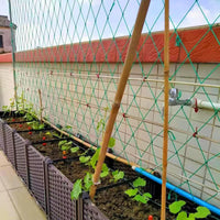 Plant Climbing Net for Vine Plants, Vegetables, and Fruits - Garden Trellis Netting