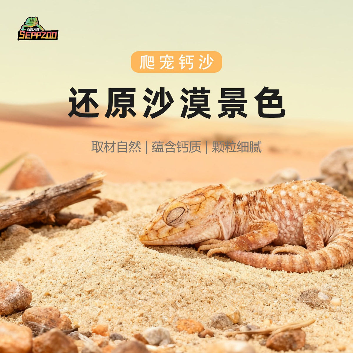 Reptile Desert Calcium Sand Substrate for Lizards and Geckos, Terrarium Decor
