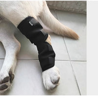 Pet Dog Knee Brace for Post-Surgery Recovery and Joint Support