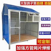 Large Outdoor Pigeon Loft with Flat Roof and Flight Area for Racing Pigeons