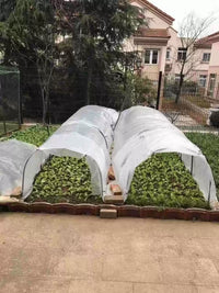 Mini Greenhouse Tunnel for Garden Plants, Fruits, Vegetables, Succulents - Winter Protection, Rain/Sun Shade, Bird Netting