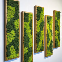 Preserved Moss Wall Art Decor Maintenance-Free 3D Green Plant Hanging Painting for Living Room Entrance