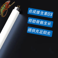 T5 UVB Reptile Light for Tortoises, Lizards, and Succulents, 8W-24W