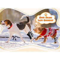 Pet Dog Knee Brace for Injury Recovery and Support