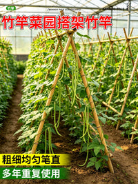 Bamboo Stakes for Garden Trellis, Vegetable Support, Cucumber and Bean Plant Climbing Frame, Small Bamboo Poles for Fences and Vines