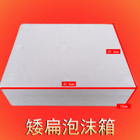 Flat Foam Insulated Shipping Box for Fresh Food & Gifts