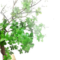 Large Artificial Bellflower Tree Faux Manzanita for Indoor Outdoor Landscape Decor