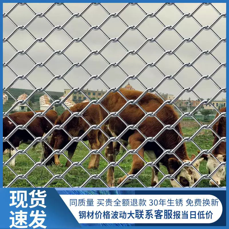 Galvanized Chain Link Fence for Poultry & Livestock Enclosures, Farm & Orchard Protection