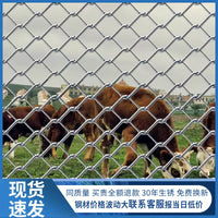 Galvanized Chain Link Fence for Poultry & Livestock Enclosures, Farm & Orchard Protection