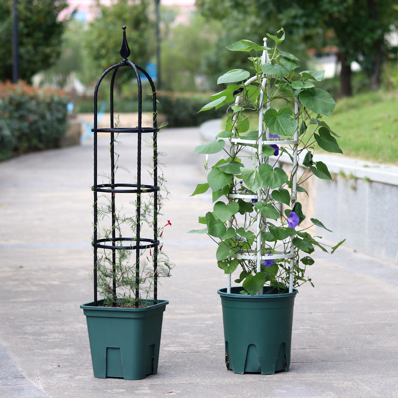 Garden Plant Support Trellis for Climbing Flowers - Rose, Clematis, Wisteria