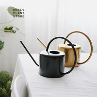 DOLV Nordic Long Spout Stainless Steel Watering Can for Home Garden Plants, 1.3L