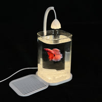 Desktop Mini Aquarium with LED Light for Betta Fish and Small Ornamentals