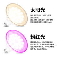 LED Mushroom Grow Light for Indoor Plants, Full Spectrum Plant Growing Lamp for Seedlings, Flowers, and Succulents