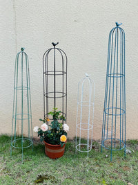 Iron Art Plant Climbing Trellis for Potted Plants, Clematis, Roses, and Vines