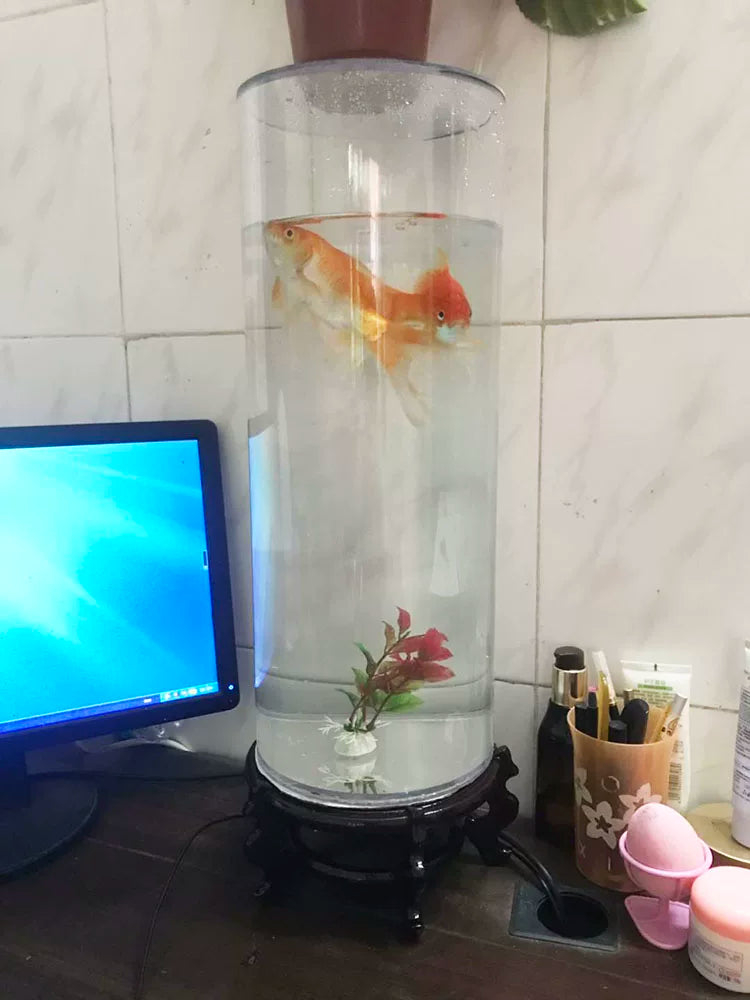Cylindrical Glass Fish Tank for Desktop, Small Aquarium for Home and Office