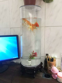 Cylindrical Glass Fish Tank for Desktop, Small Aquarium for Home and Office
