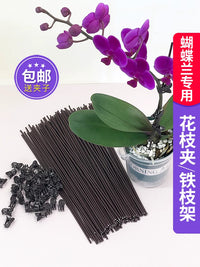 Orchid Plant Support Stakes with Clips for Climbing Vines and Floral Arrangements