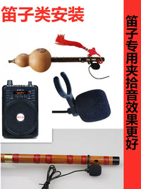 Wireless Portable Bluetooth Amplifier Speaker for Erhu, Flute, Hulusi, Saxophone, Harmonica