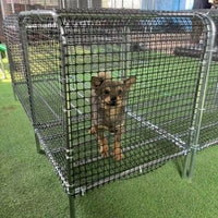 Modular Outdoor Chicken Run Tunnel with Anti-Predator Wire Mesh for Poultry
