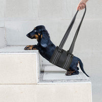 Pet Dog Rear Leg Support Harness for Injured or Weak Legs