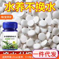 Aquatic Plant Water Purifying Tablets for Odor Removal, Sterilization, and Freshness