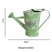 French Vintage Galvanized Watering Can for Garden Plants and Flowers