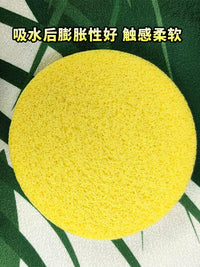Disposable Compressed Facial Cleansing Sponges, Travel-Friendly, 12-Count Pack