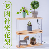 Wooden Succulent Plant Stand with Full Spectrum Grow Light for Indoor Desktop Display
