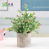 Pulp Planters for Succulents and Indoor Plants - Wholesale Bulk Pack