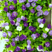 Colorful Eucalyptus and Gypsophila Wreath for Spring/Summer Door Decor
