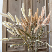 Artificial Foxtail Grass Pampas Reed for Home Decor