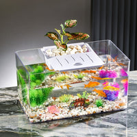 Desktop Turtle Tank Ecological Fish Tank Medium Transparent Plastic Office Study Landscaping Aquarium