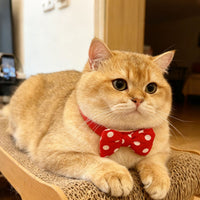 Pet Bandana Bib for Cats and Dogs, New Year Festive Collar Scarf