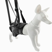 Dog Rear Leg Support Harness for Injured or Elderly Dogs