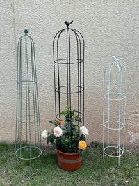 Iron Art Plant Climbing Trellis for Potted Plants, Clematis, Roses, and Vines