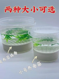 Turtle Hatchling Breeding Box with Lid and Filter Screen