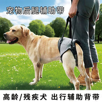 Pet Rear Leg Support Harness for Injured, Disabled, or Senior Dogs