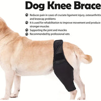 Pet Dog Leg Brace for Injury Support and Protection