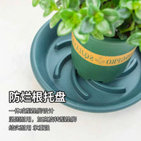 Breathable Round Plant Pot Saucer with Water Catch Tray for Preventing Root Rot