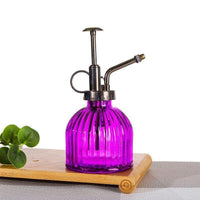 Indoor Glass Watering Can with Long Spout for Plants and Succulents